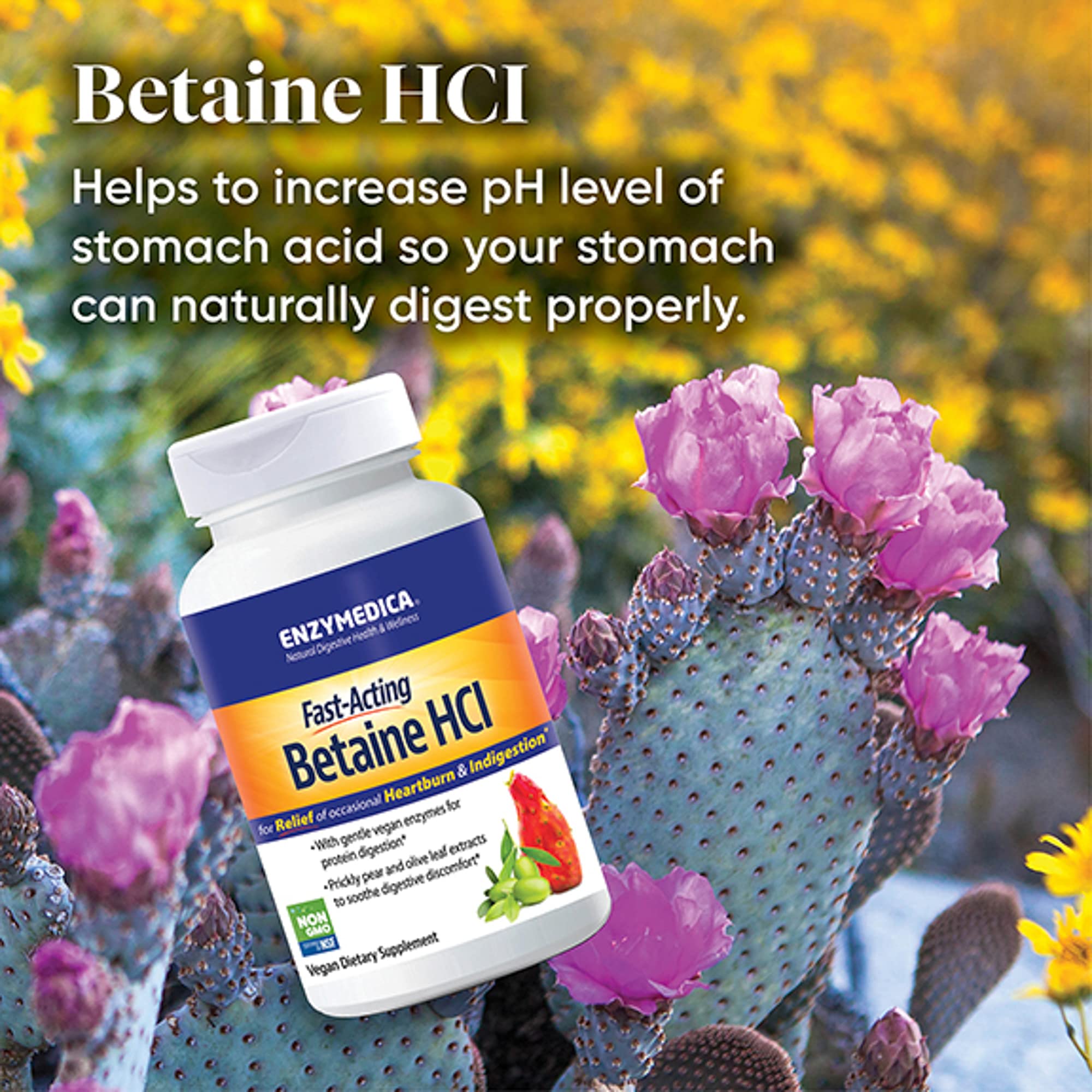 Etiqueta nutricional Enzymedica Betaine HCl con información clara