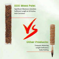 EOX D-shaped pole filled with sphagnum moss showing improved root attachment