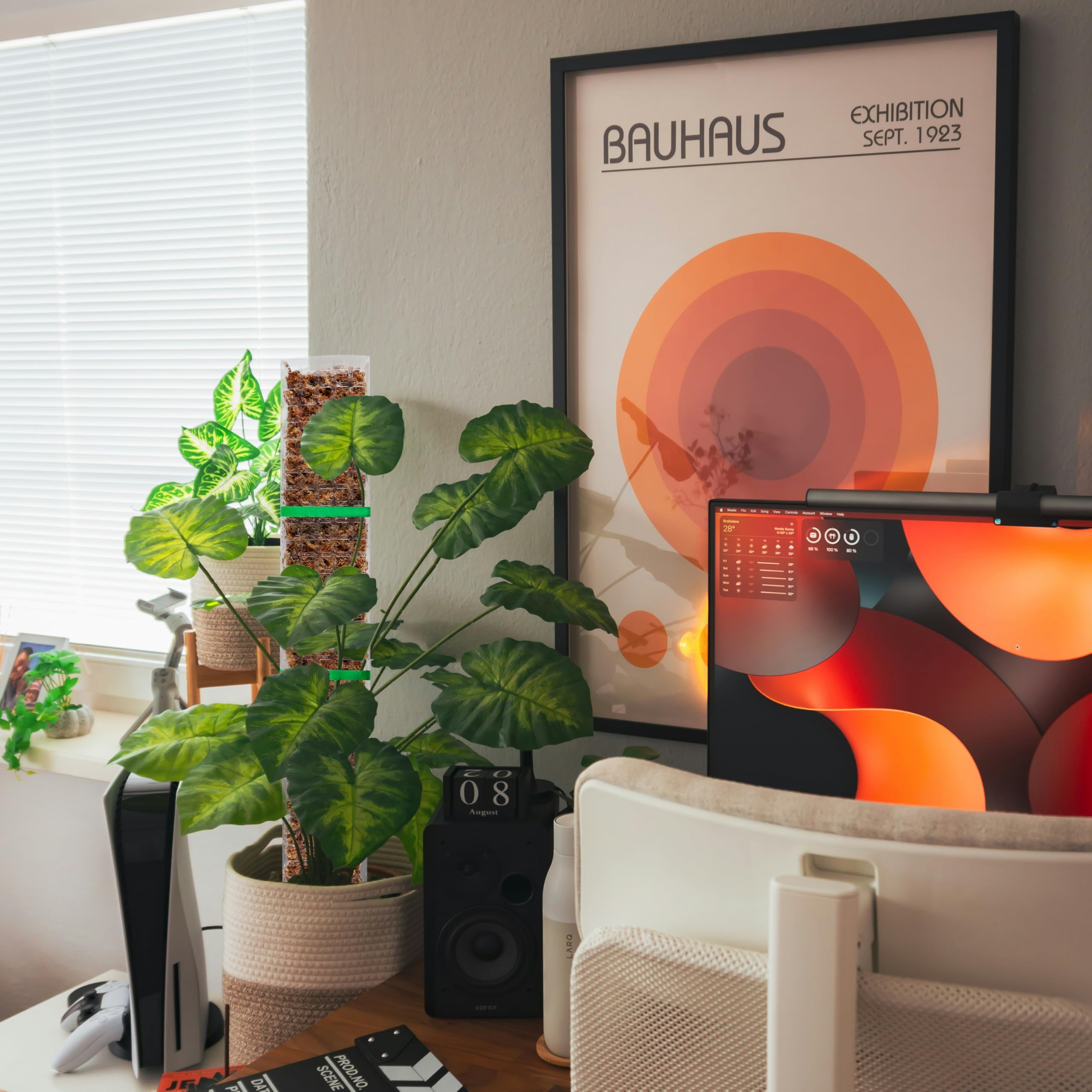 EOX lifestyle shelf with climbing plants showing attractive vertical growth