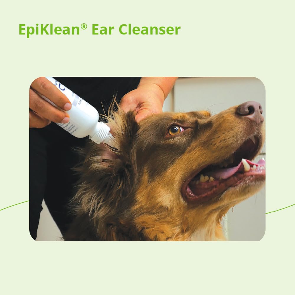 EpiKlean cerca de oreja de gato ilustrando limpieza delicada y seguridad