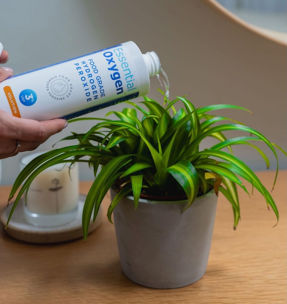 Essential Oxygen en jardín cuidando plantas y agua de jarrón ecológicamente