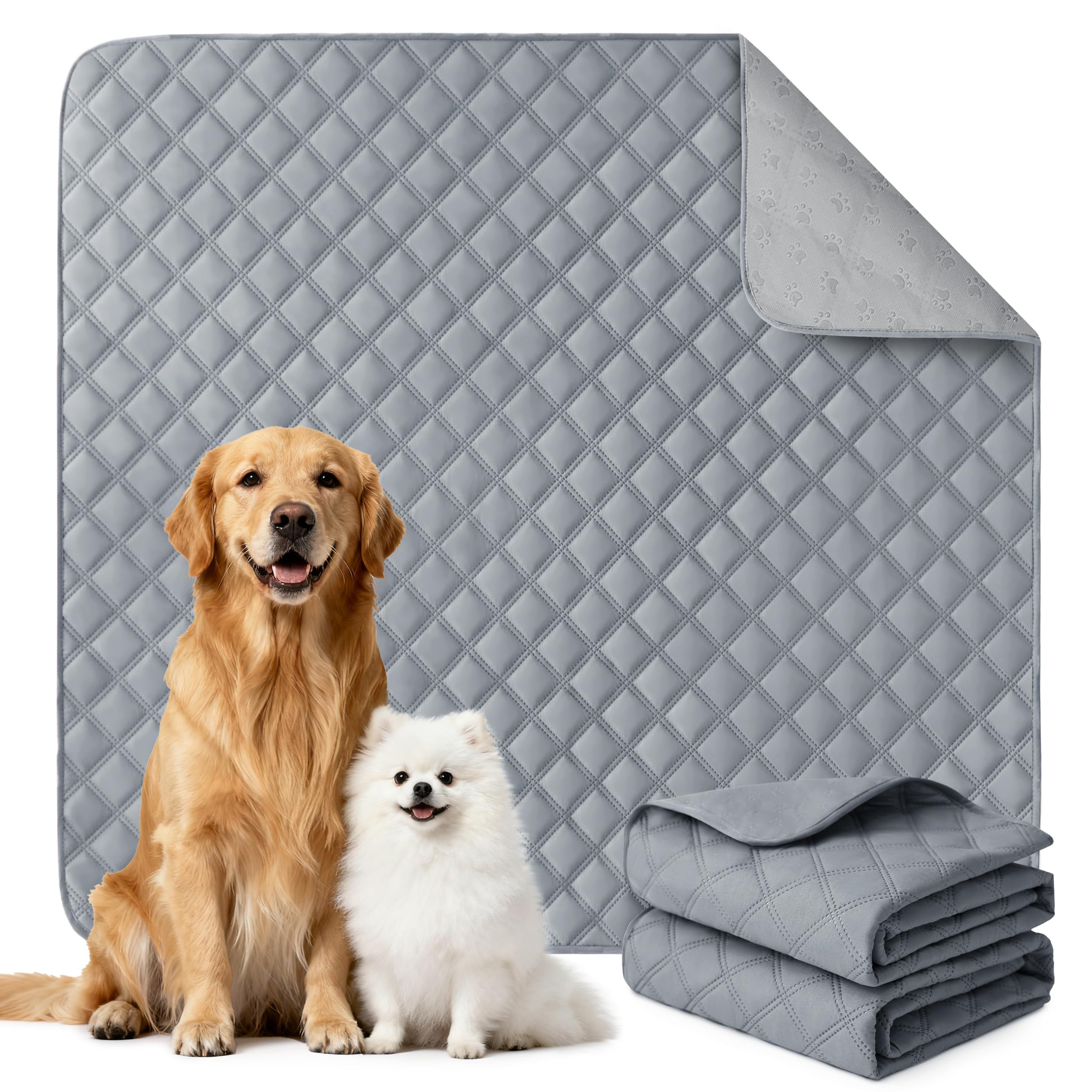 Eterish empaque frontal mostrando pack de 2 paños, protección práctica