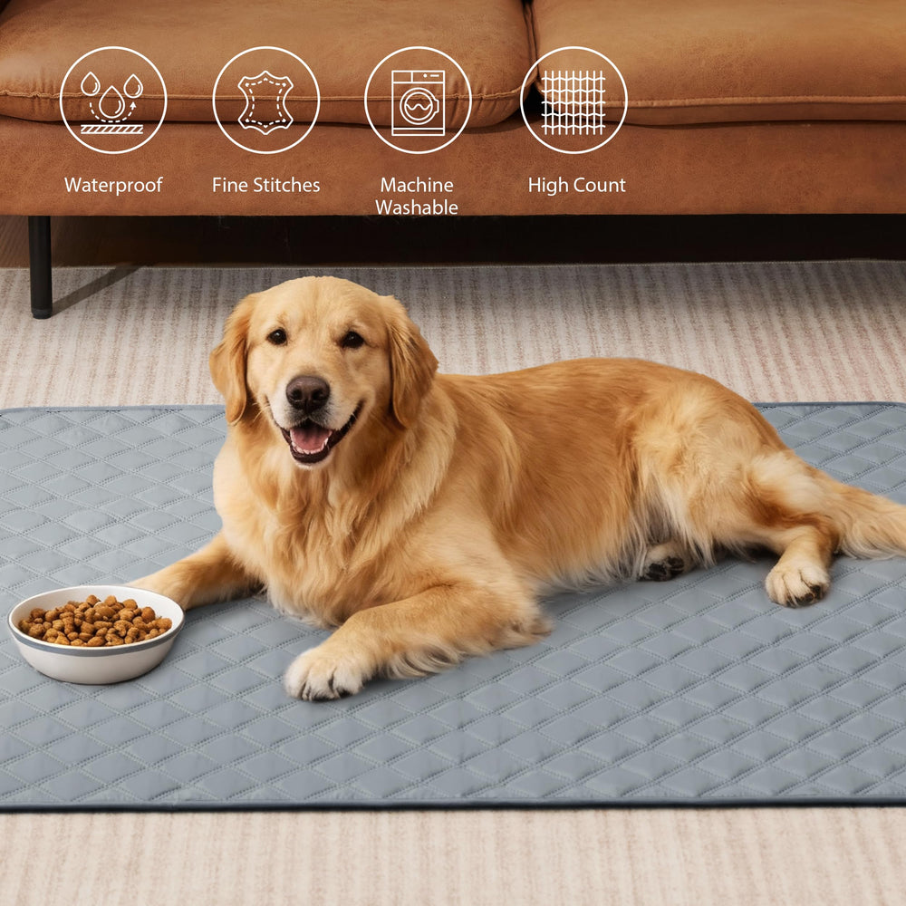 Eterish textura superior suave para confort y aceptación del perro