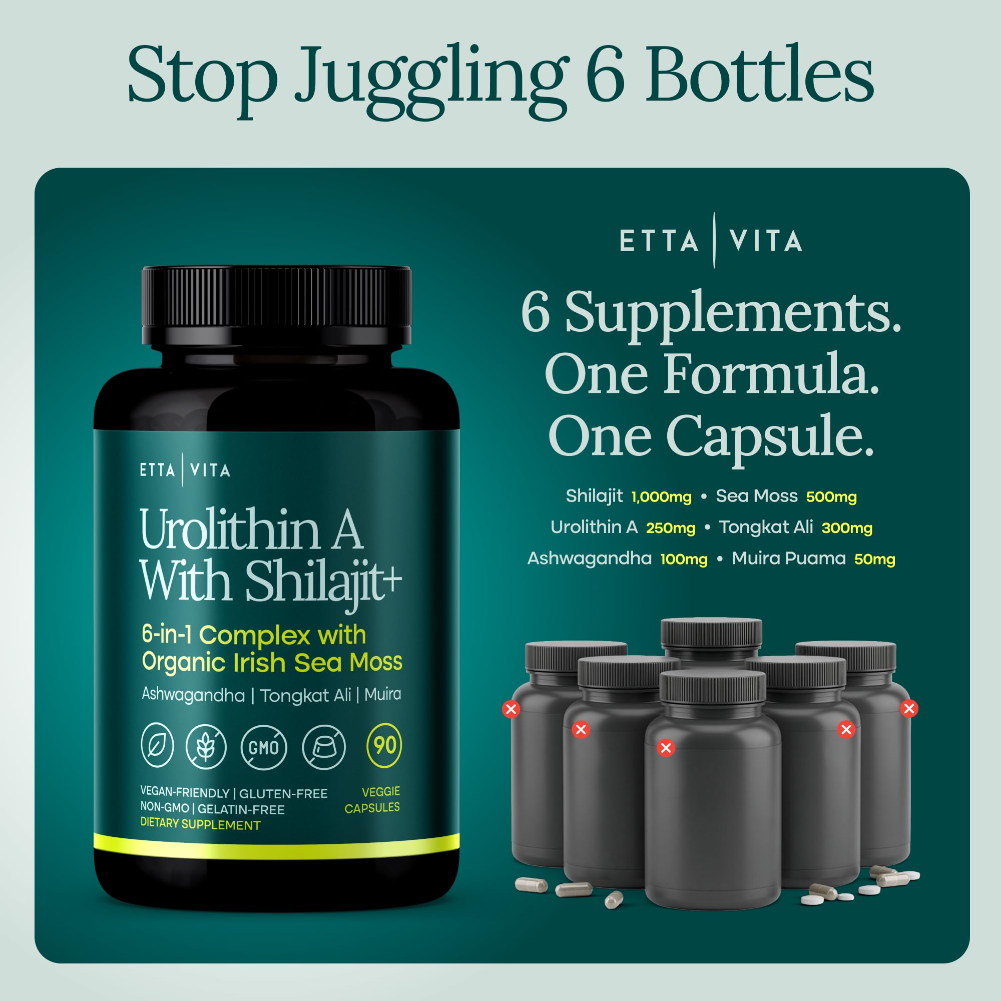 Etta Vita ingredientes clave shilajit y sea moss ilustrando fuente mineral