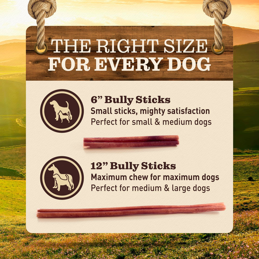 EVER FARM producto en sala con perro, masticable natural para momentos tranquilos