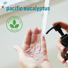 everyone etiqueta de cerca con ingredientes y sellos EWG y B Corp, beneficio: transparencia