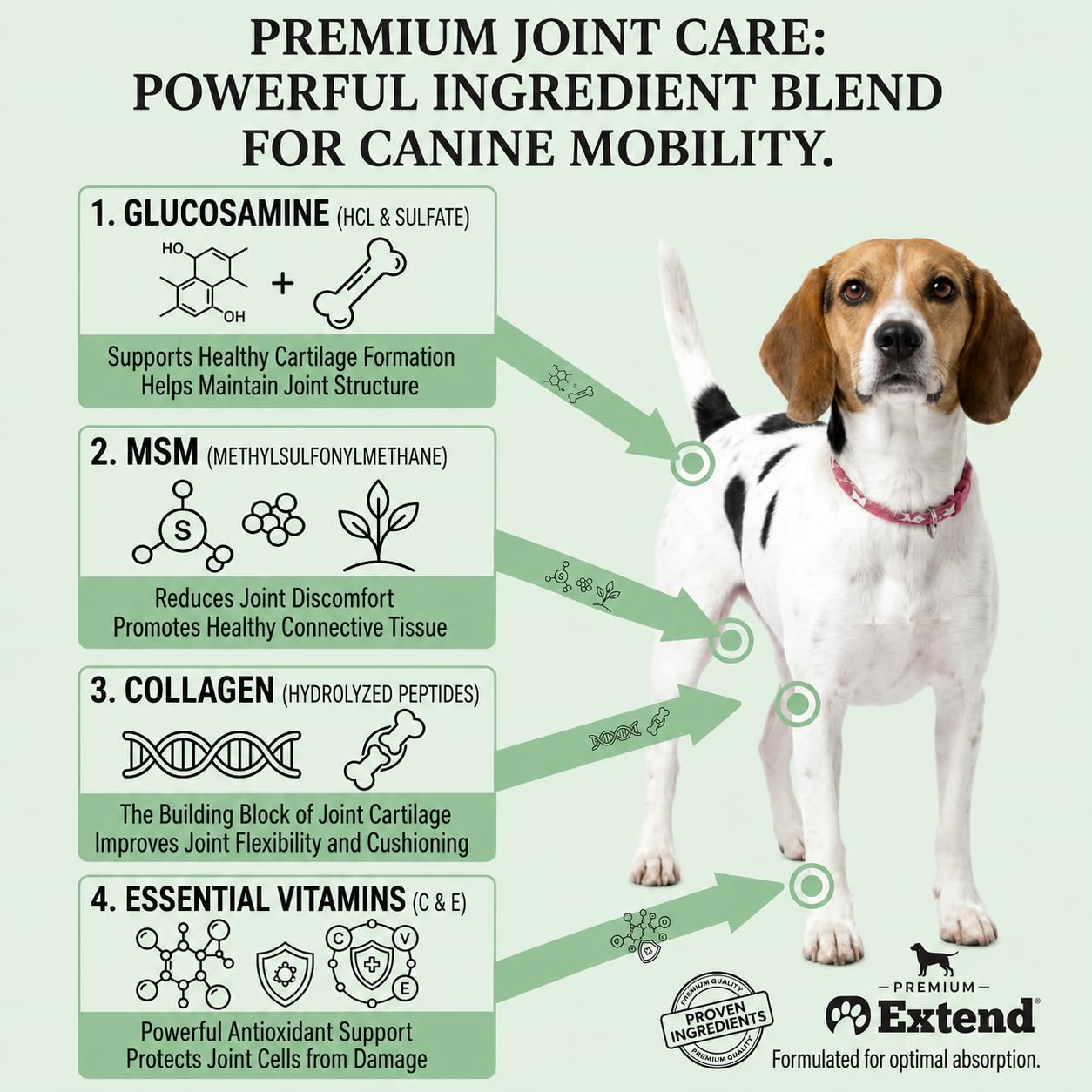 Extend administrado a perro grande apoyando movilidad y confort
