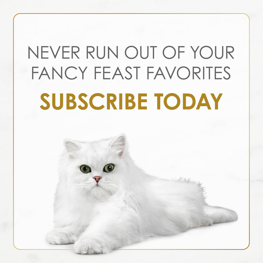 Fancy Feast boxed 24-pack ready for storage and consistent supply
