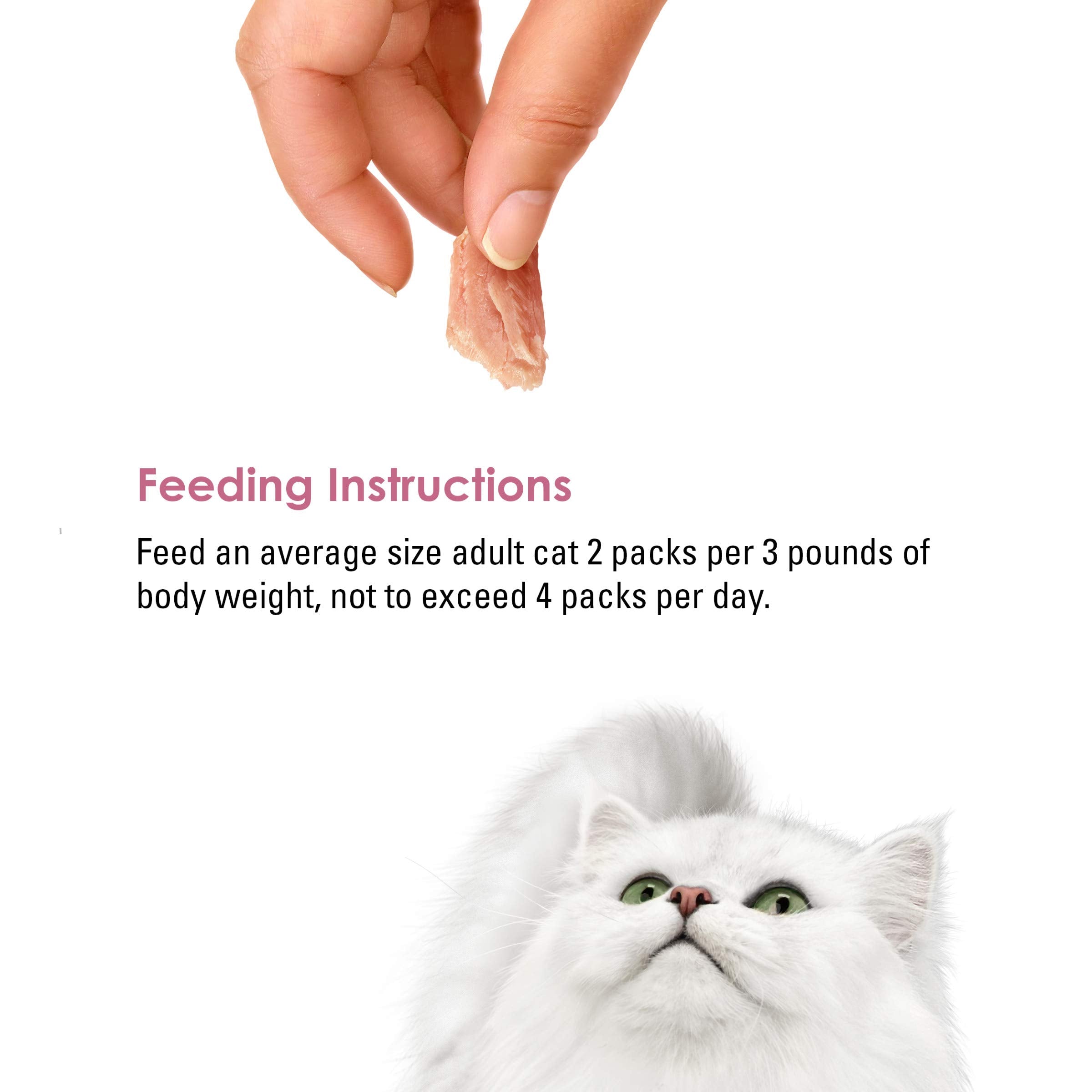 Fancy Feast servido en plato como complemento apetitoso para gato