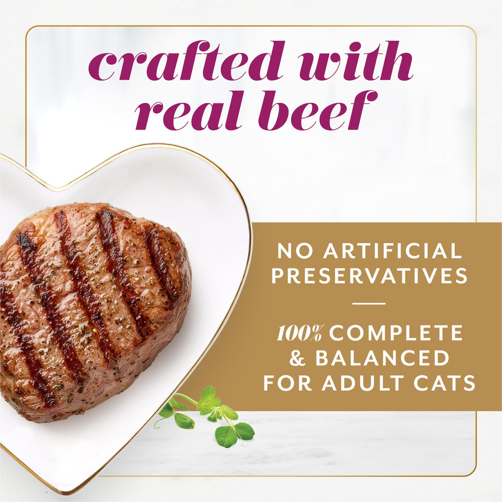 Fancy Feast porción en forma de pirámide listo para servir y fácil manejo