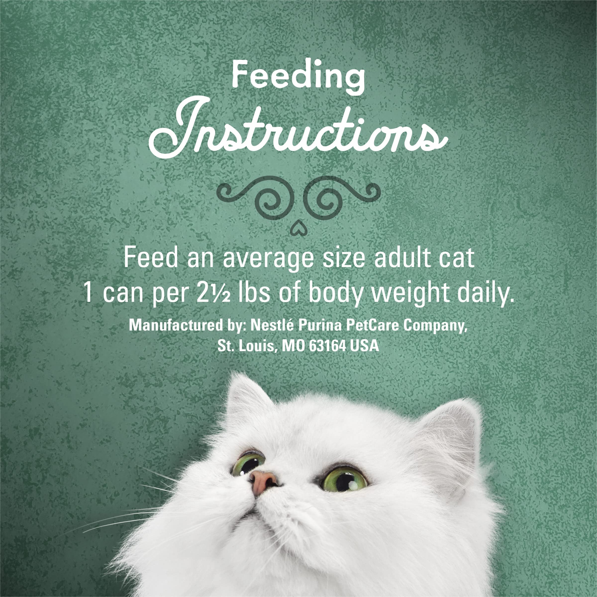 Fancy Feast comida servida en plato atractiva para el gato
