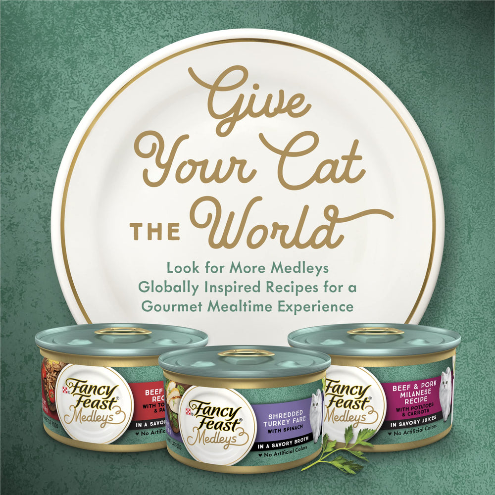 Fancy Feast lata junto a mano para mostrar tamaño y porción