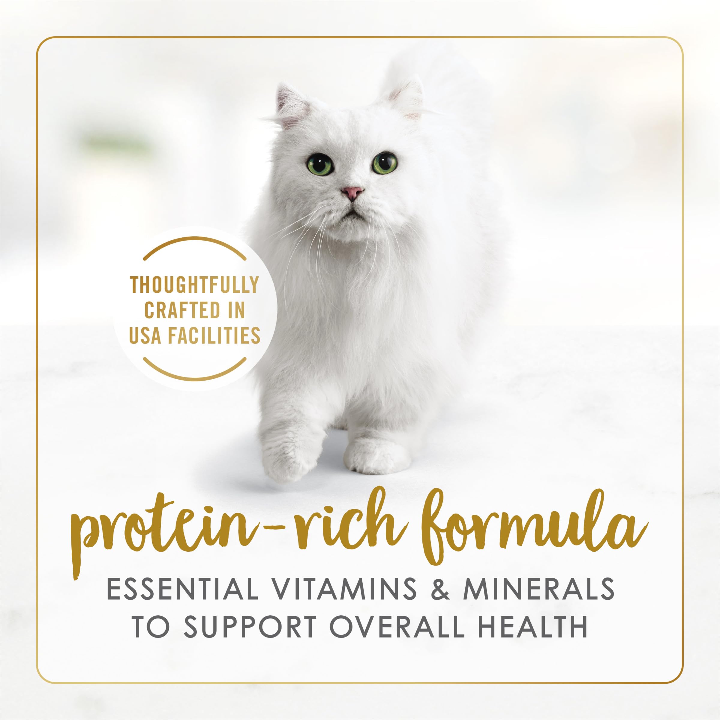 Fancy Feast Purina gato comiendo del plato disfrutando del sabor