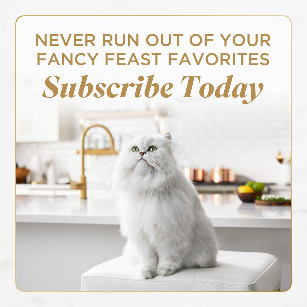 Fancy Feast en cocina con gato esperando, momento de comida agradable