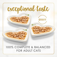 Fancy Feast primer plano de trozos en salsa mostrando textura