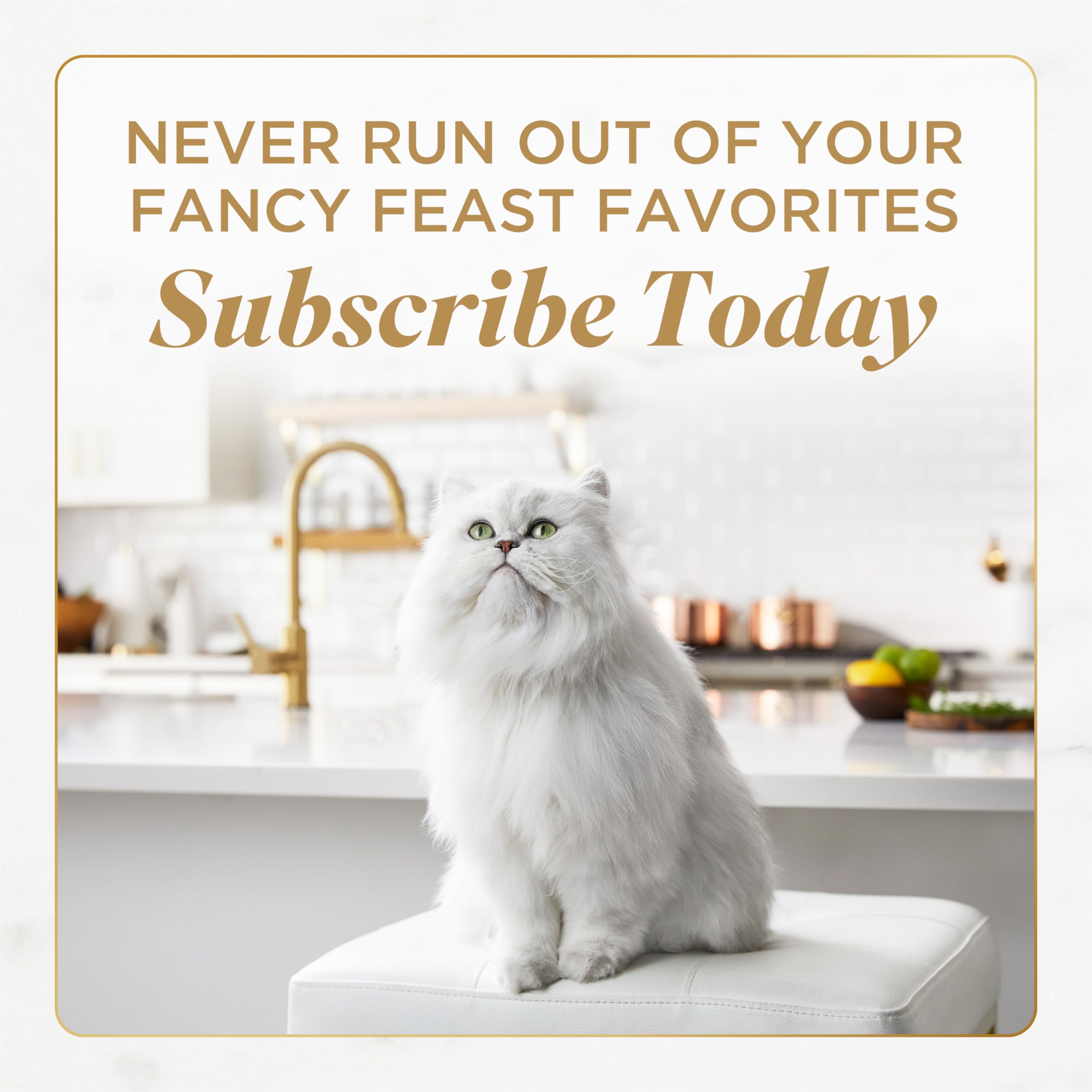 Fancy Feast gato comiendo en entorno hogareño muestra aceptación