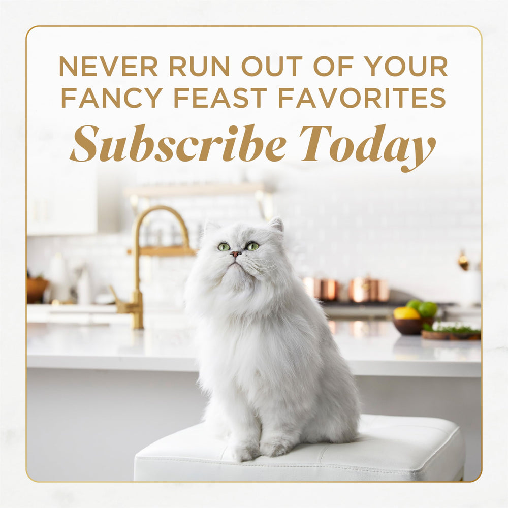 Fancy Feast gato comiendo en entorno hogareño muestra aceptación