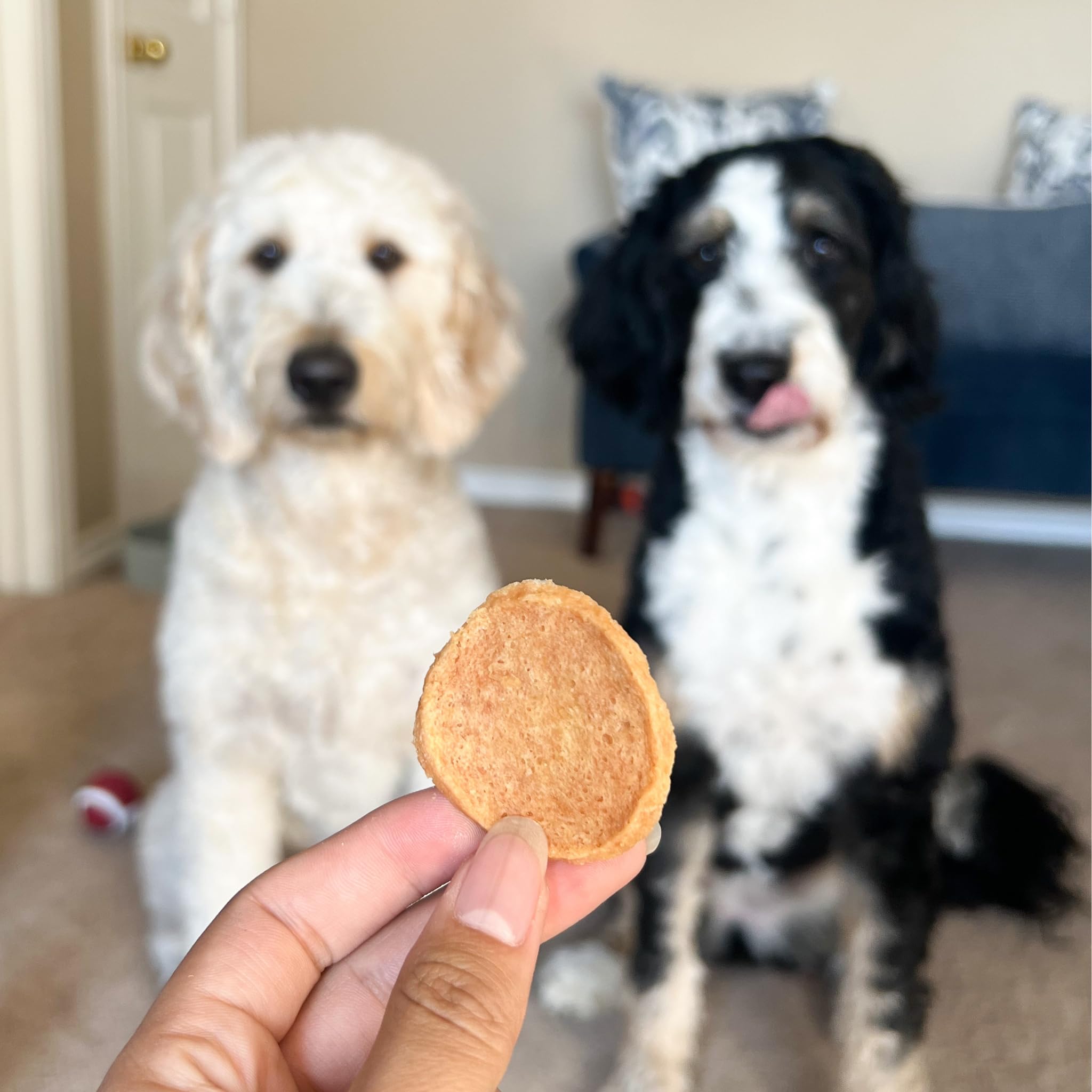 Farm To Pet sobre de 12 oz abierto con chips, conserva frescura y porciones
