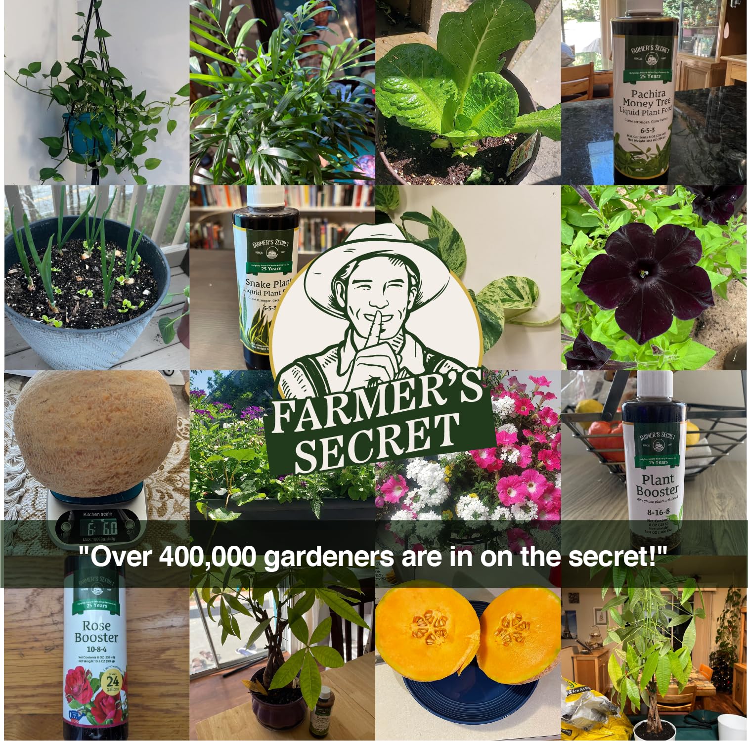 Farmer's Secret botella en un huerto urbano demostrando efectos visibles