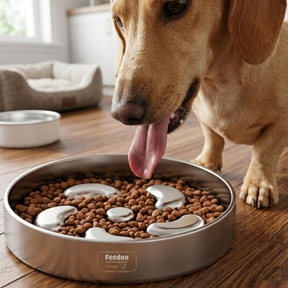 Feedoo filled with wet food and kibble demonstrating versatility across food types
