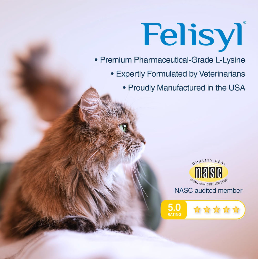 Aplicación de Felisyl en la pata para dosificar sin estrés
