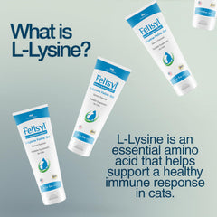 Gato lamiendo Felisyl gel sabor salmón para mejor aceptación