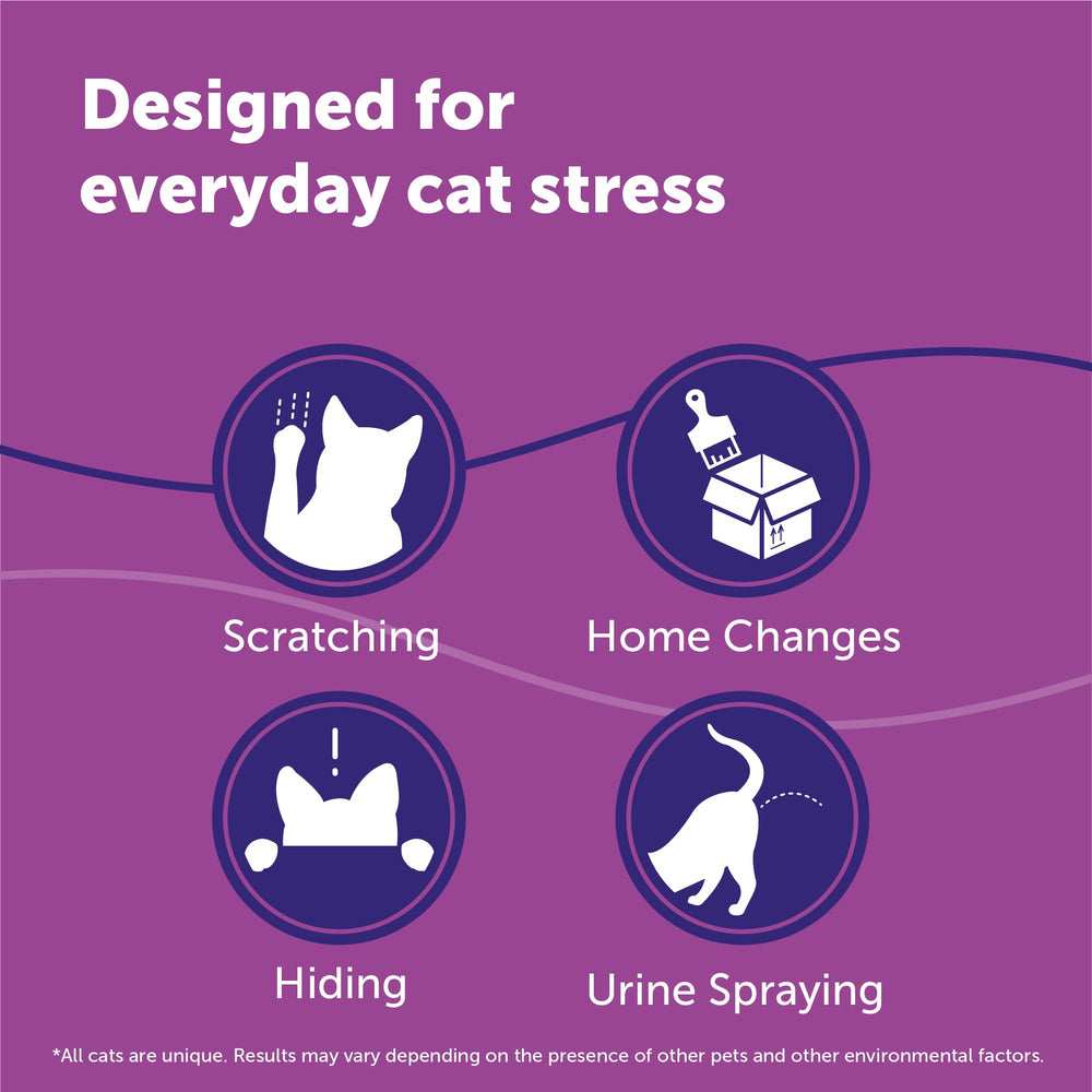 FELIWAY difusor conectado en sala creando ambiente calmado para gatos