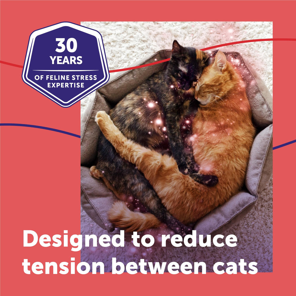 FELIWAY MultiCat difusor enchufado en sala beneficiando la convivencia felina