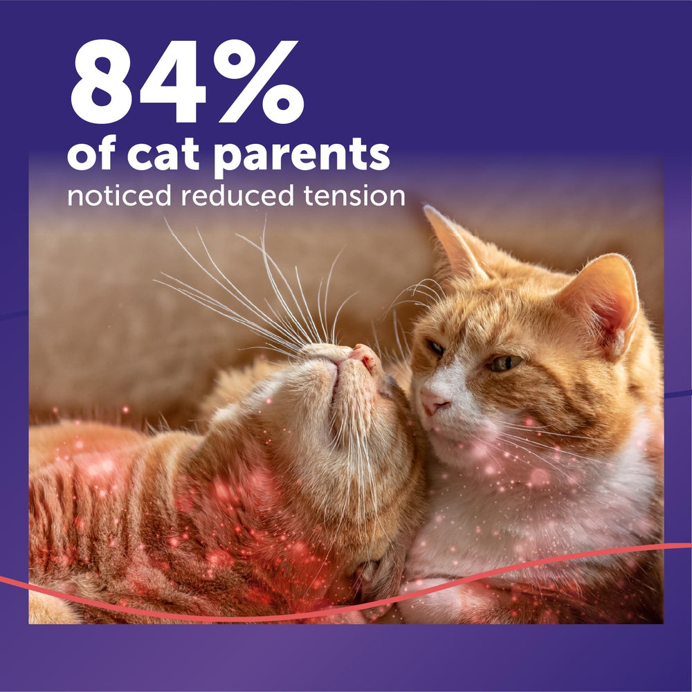 FELIWAY MultiCat solución líquida en acercamiento que evidencia calidad y dosificación