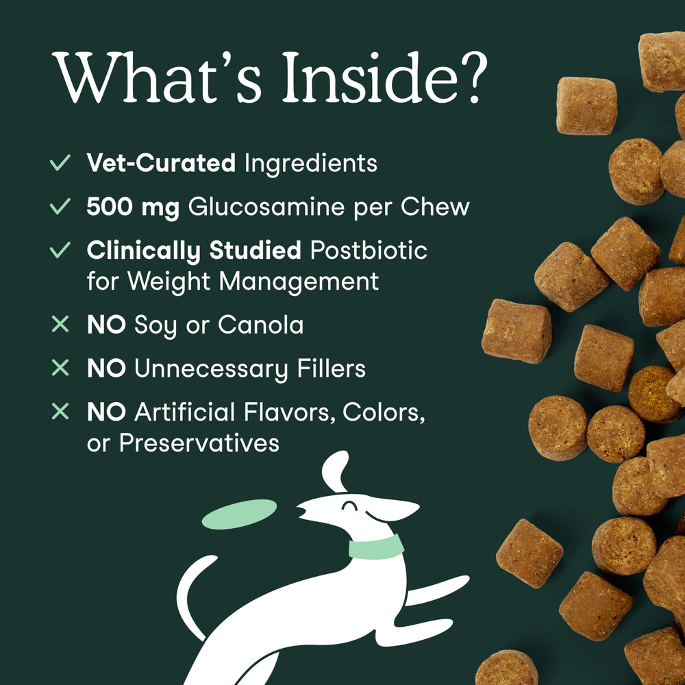 Fera Pets masticable ofrecido a un perro promoviendo movilidad y aceptación