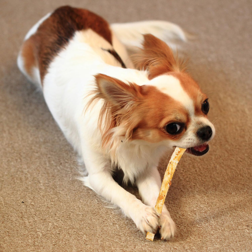 Escena hogareña con perro disfrutando Twist Stix Fieldcrest Farms para calma y masticación