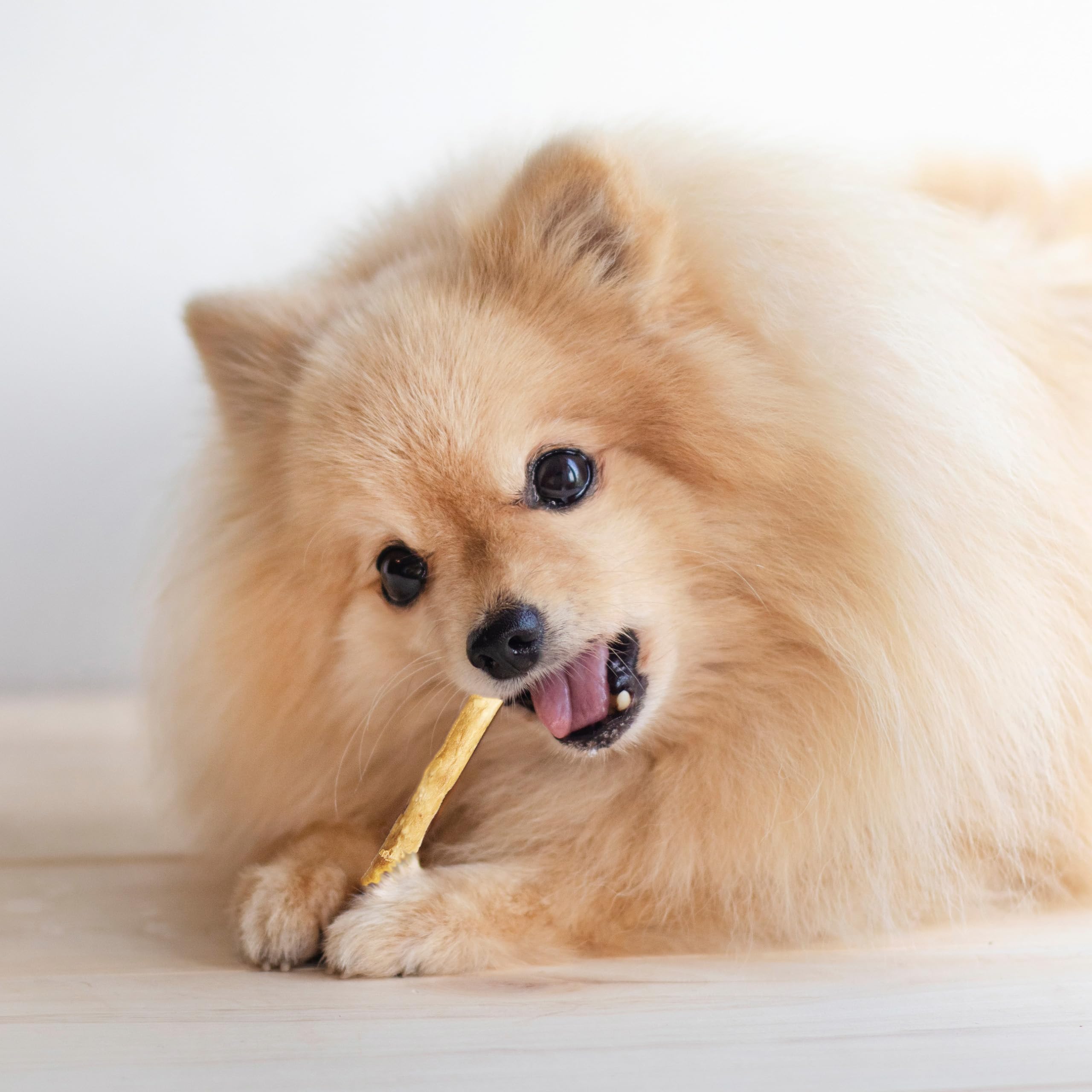 Twist Stix Fieldcrest Farms en cuenco listos como premio nutritivo para perros pequeños