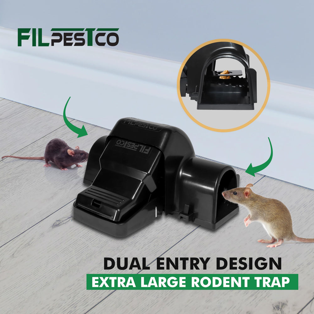 Filpestco baited and set trap in position showing easy placement and effective readiness