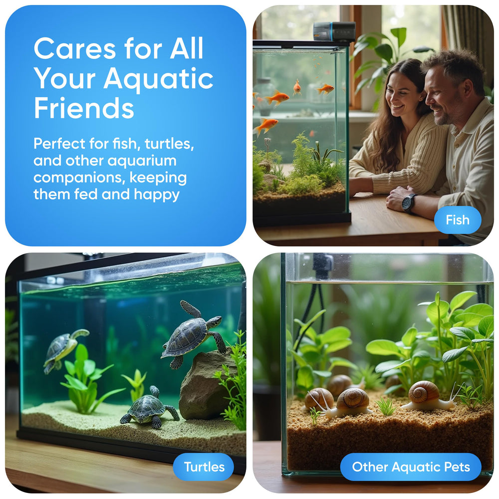 FISHNOSH ambientación en sala con acuario mostrando integración estética