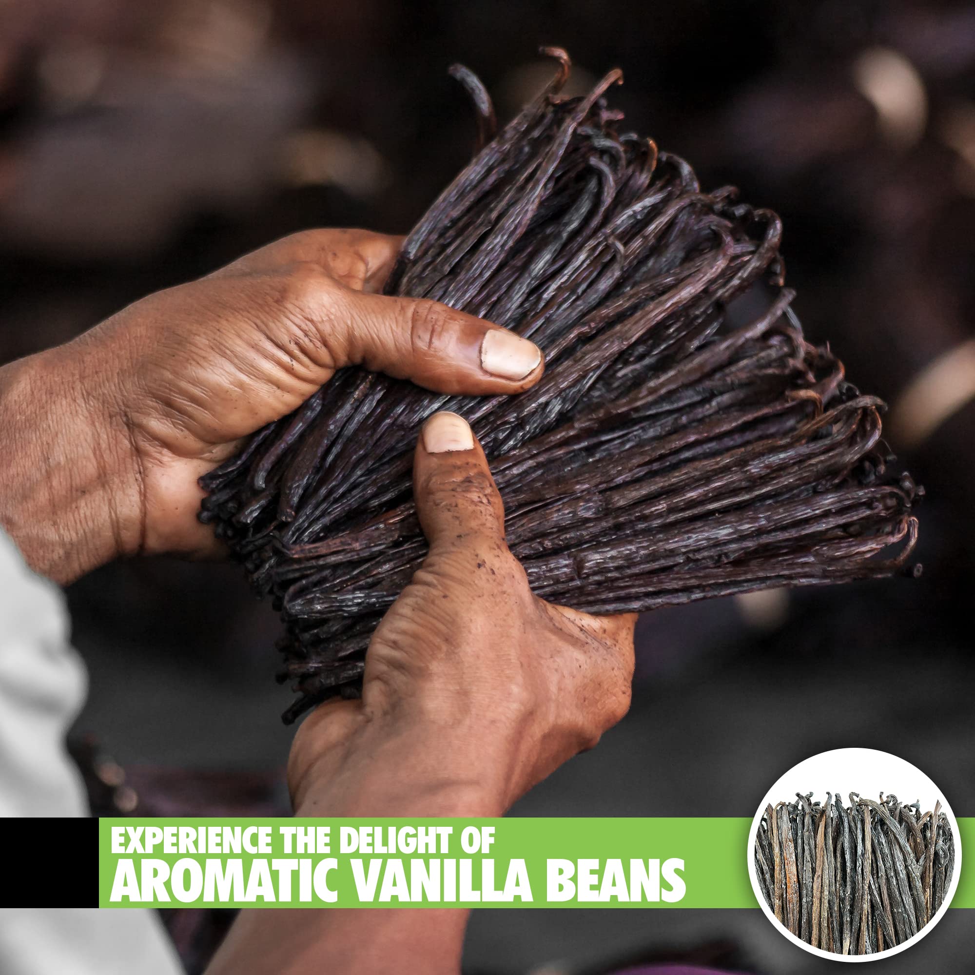 Comparación de tamaño con regla para vainas FITNCLEAN VANILLA 4.5"–5.5"