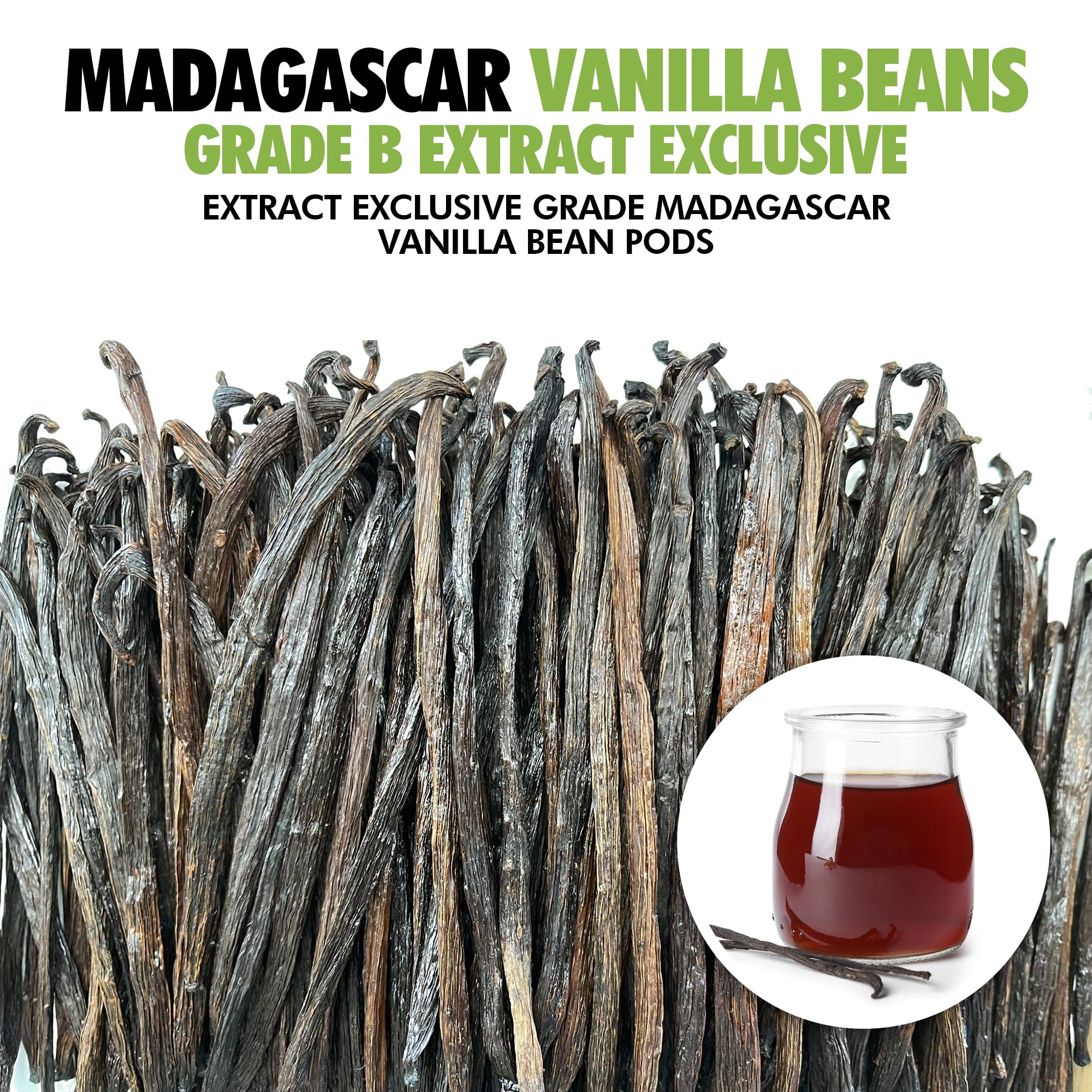 FITNCLEAN VANILLA varias vainas enteras exhibidas para maceración eficiente