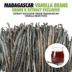 FITNCLEAN VANILLA varias vainas enteras exhibidas para maceración eficiente