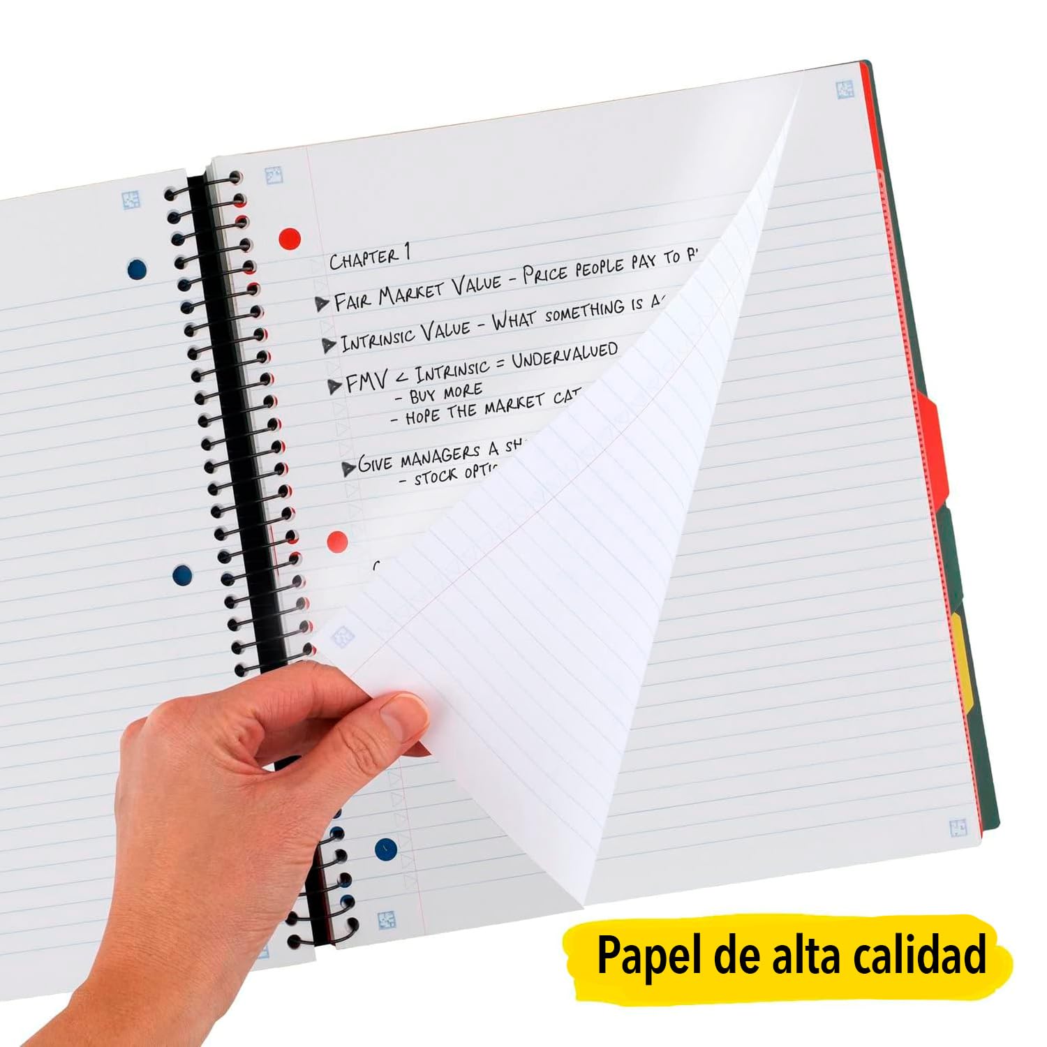 Five Star divisor móvil con bolsillo expandible para guardar folletos y tareas