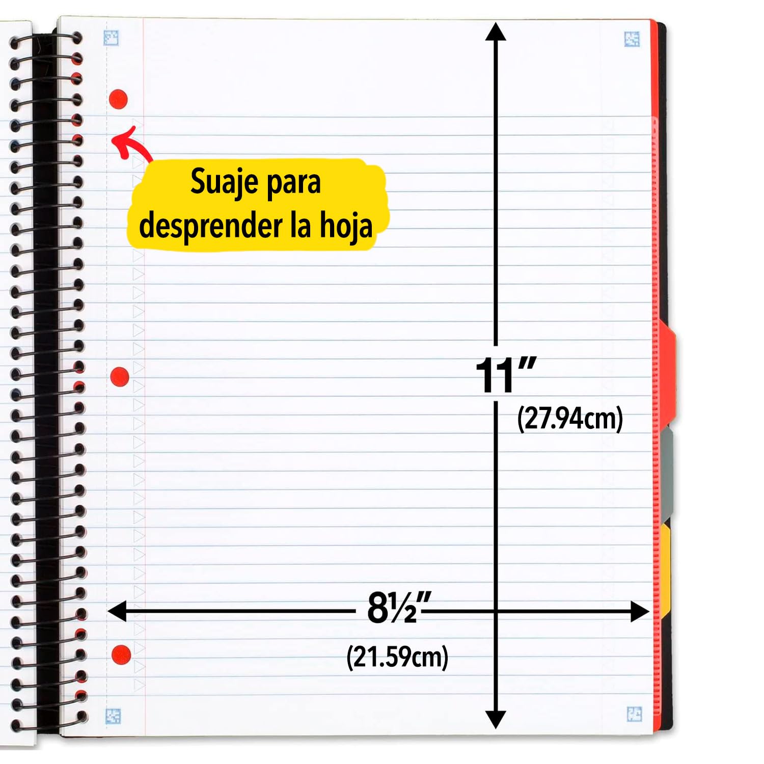 Five Star lazo para bolígrafo y lomo escribible para organización rápida