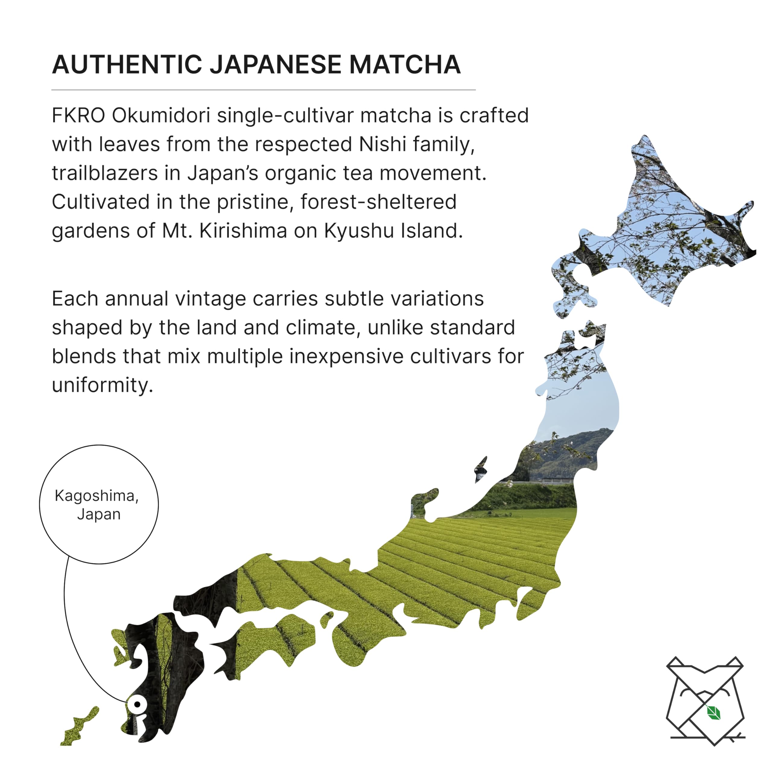 FKRO campos de té en Kagoshima que resaltan origen familiar y calidad