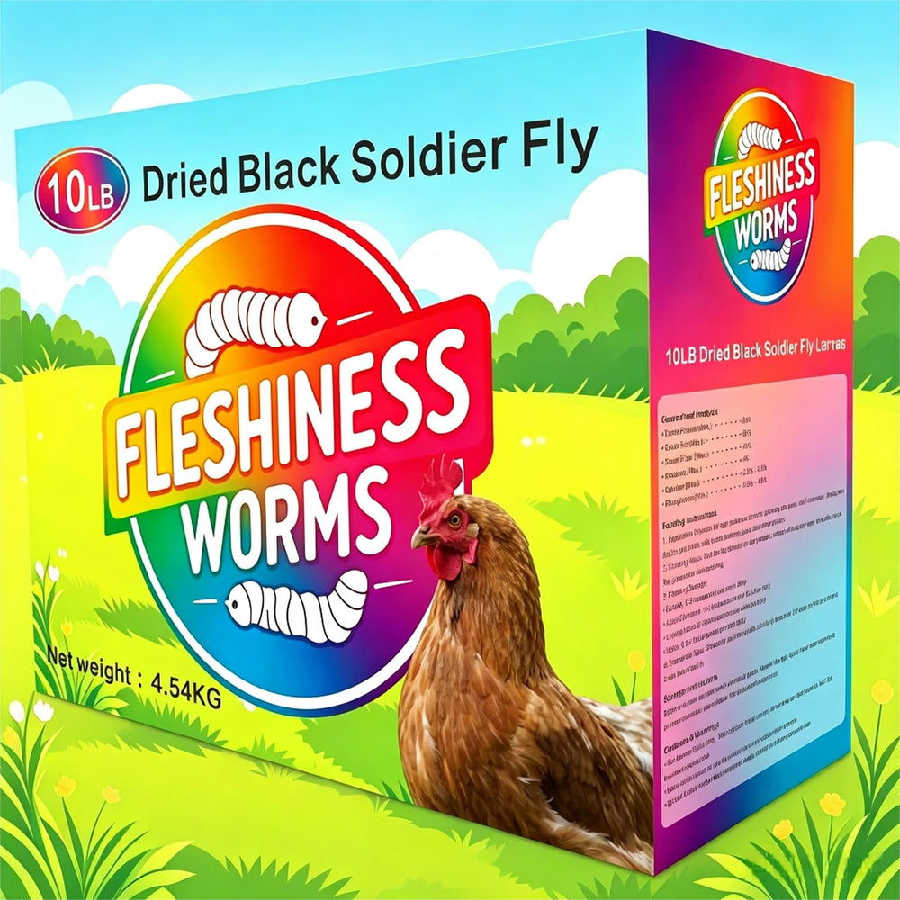 FLESHINESS WORMS in backyard setting feeding chickens and ducks as sustainable feed