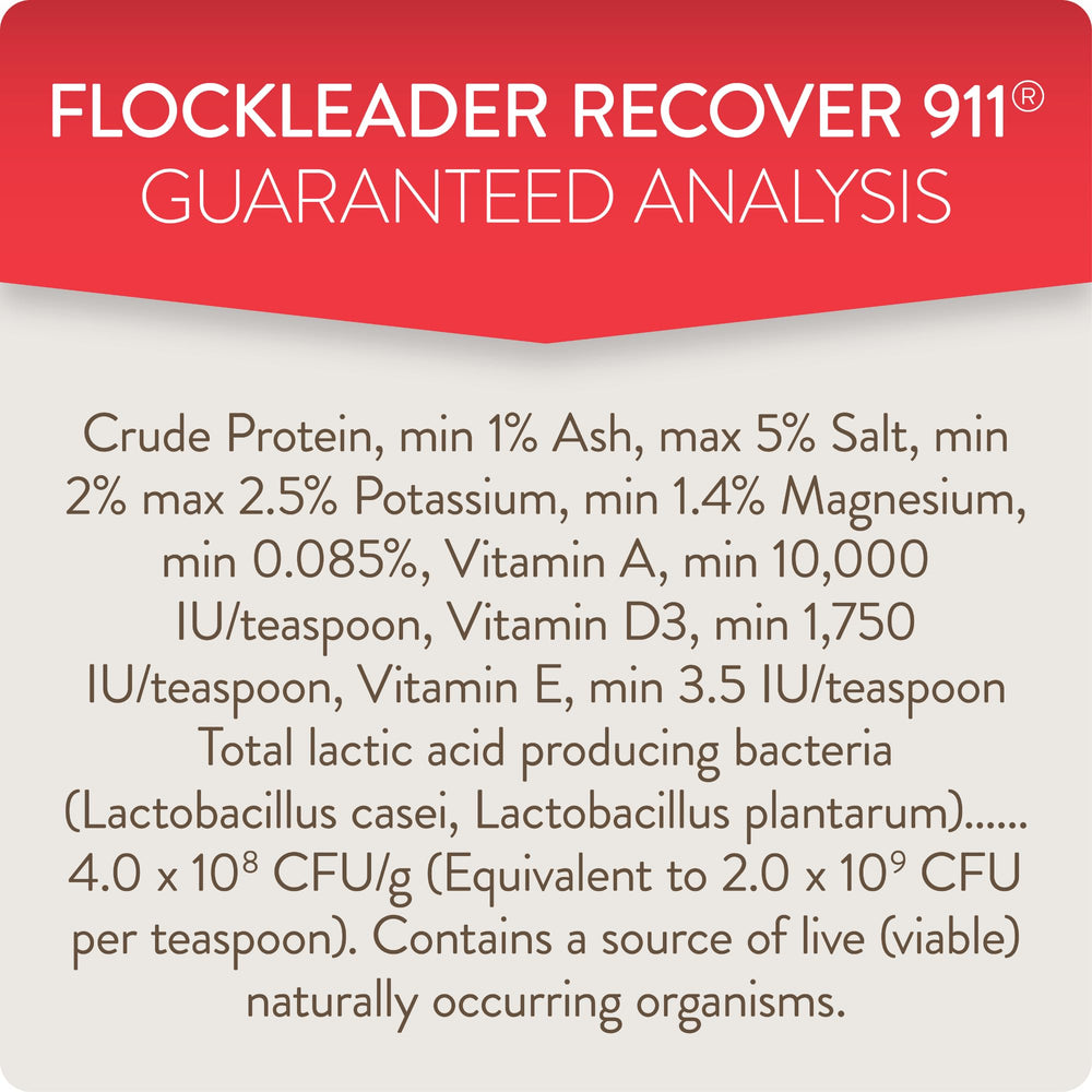 FlockLeader aves en corral recuperándose tras tratamiento con suplemento