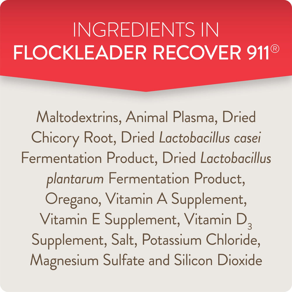 FlockLeader etiqueta con ingredientes y modo de uso visible y claro