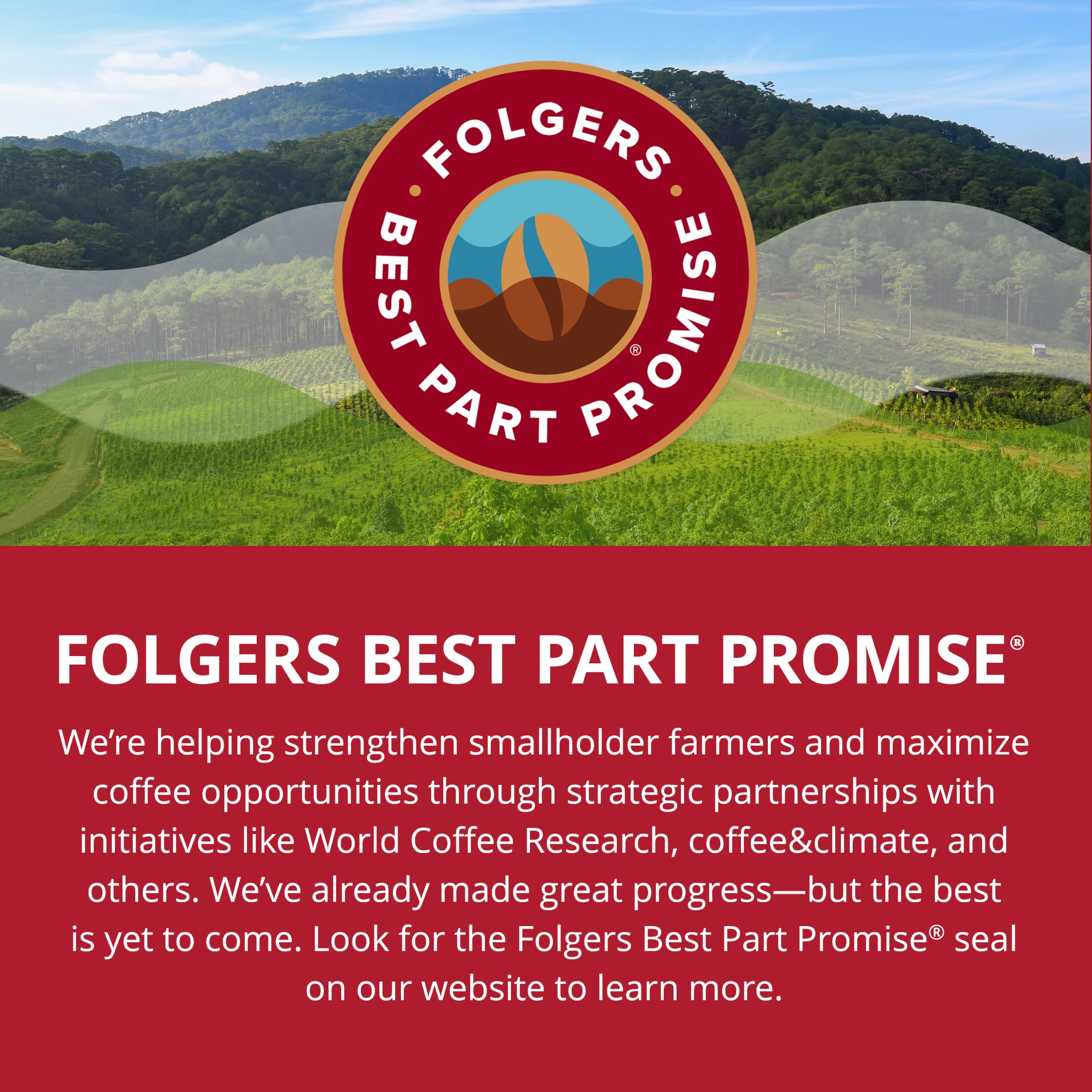 Folgers cajas abiertas con filas de cápsulas para almacenamiento organizado