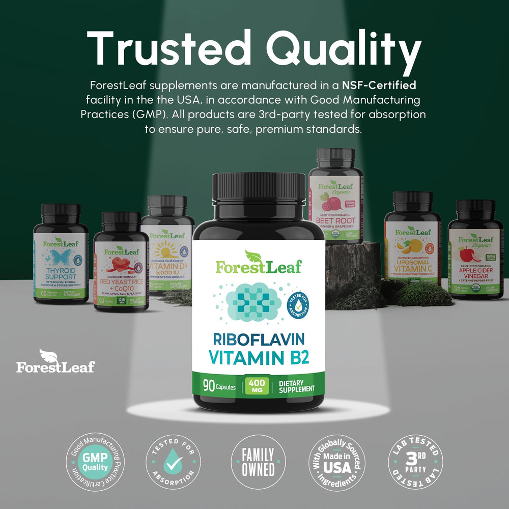 ForestLeaf comparación de tamaño con regla para visualizar la escala real