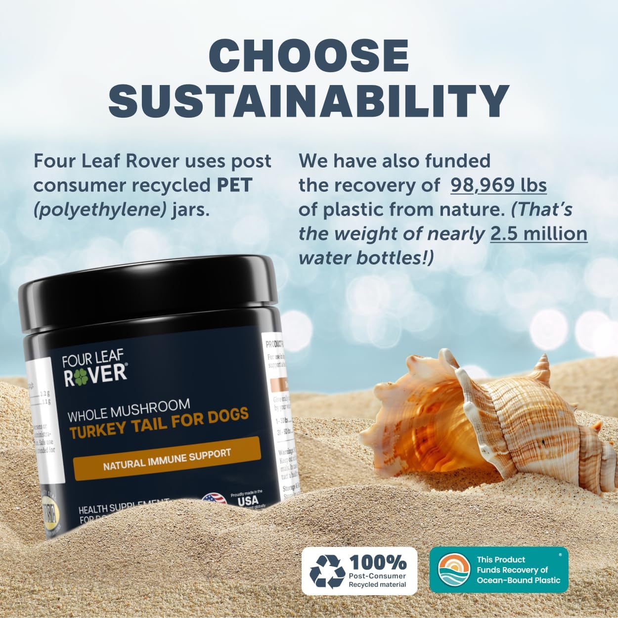 Four Leaf Rover perro en paseo con dueño, bienestar integral apoyado
