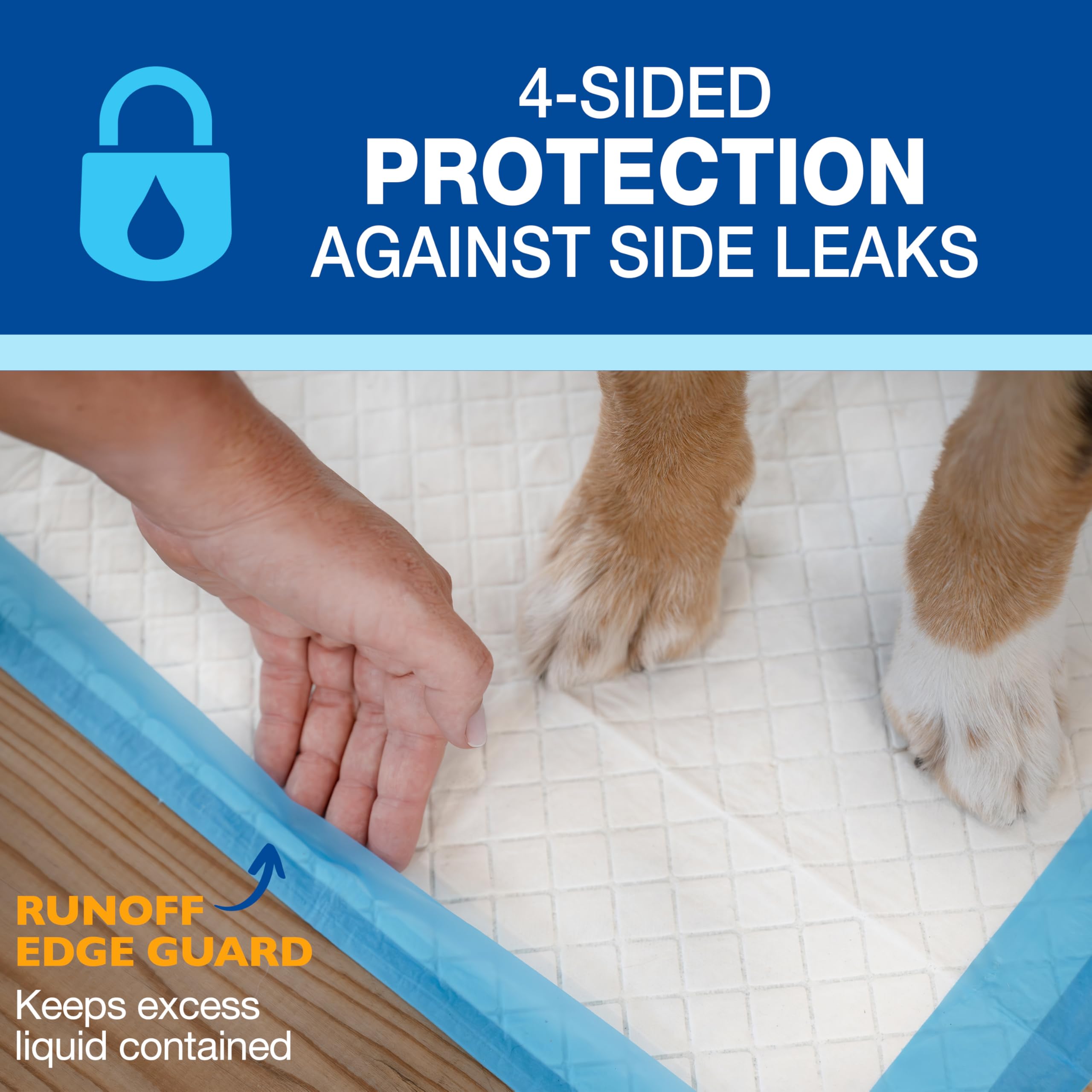 Four Paws primer plano del Runoff Edge Guard que previene derrames laterales