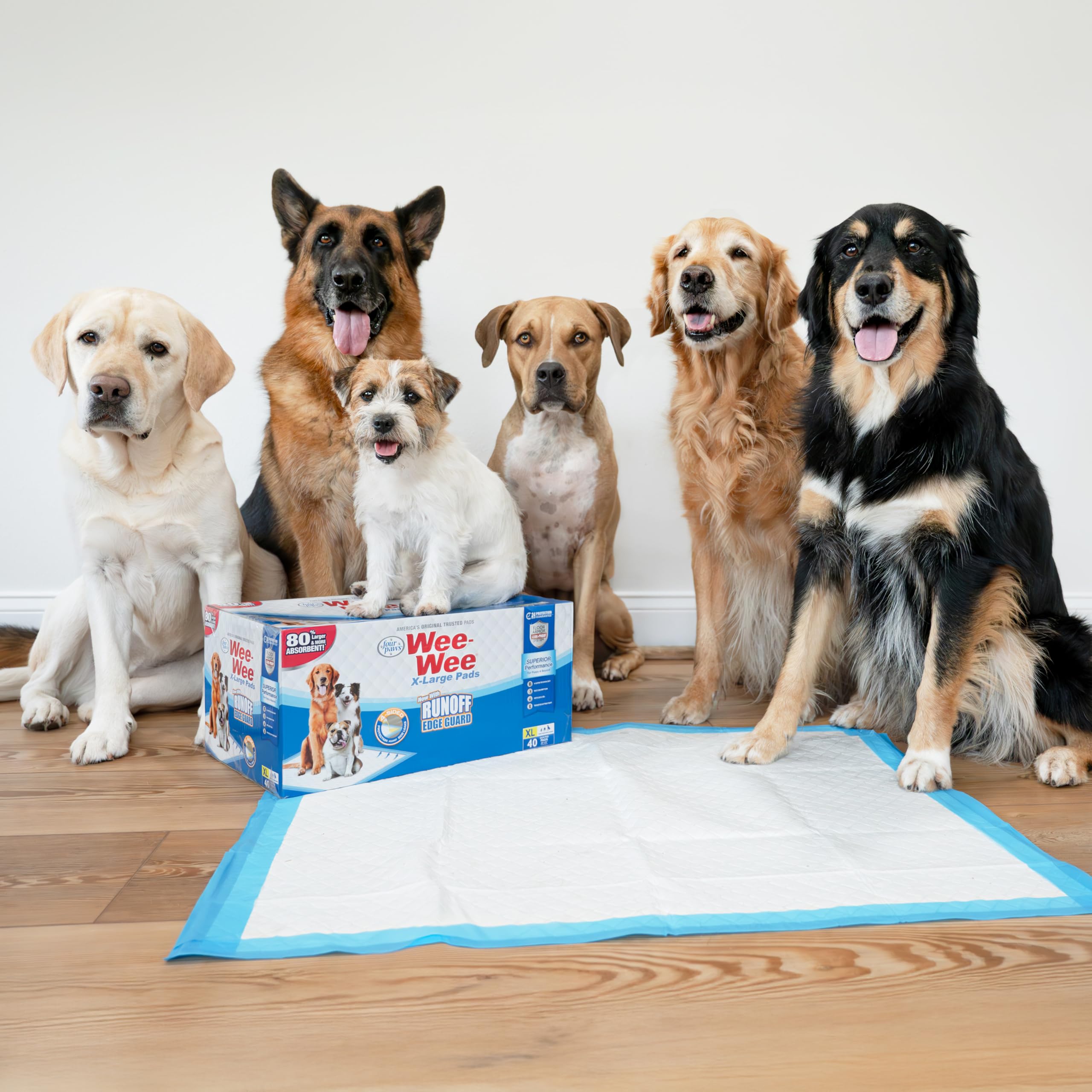 Four Paws perro usando la almohadilla mostrando comodidad y entrenamiento efectivo
