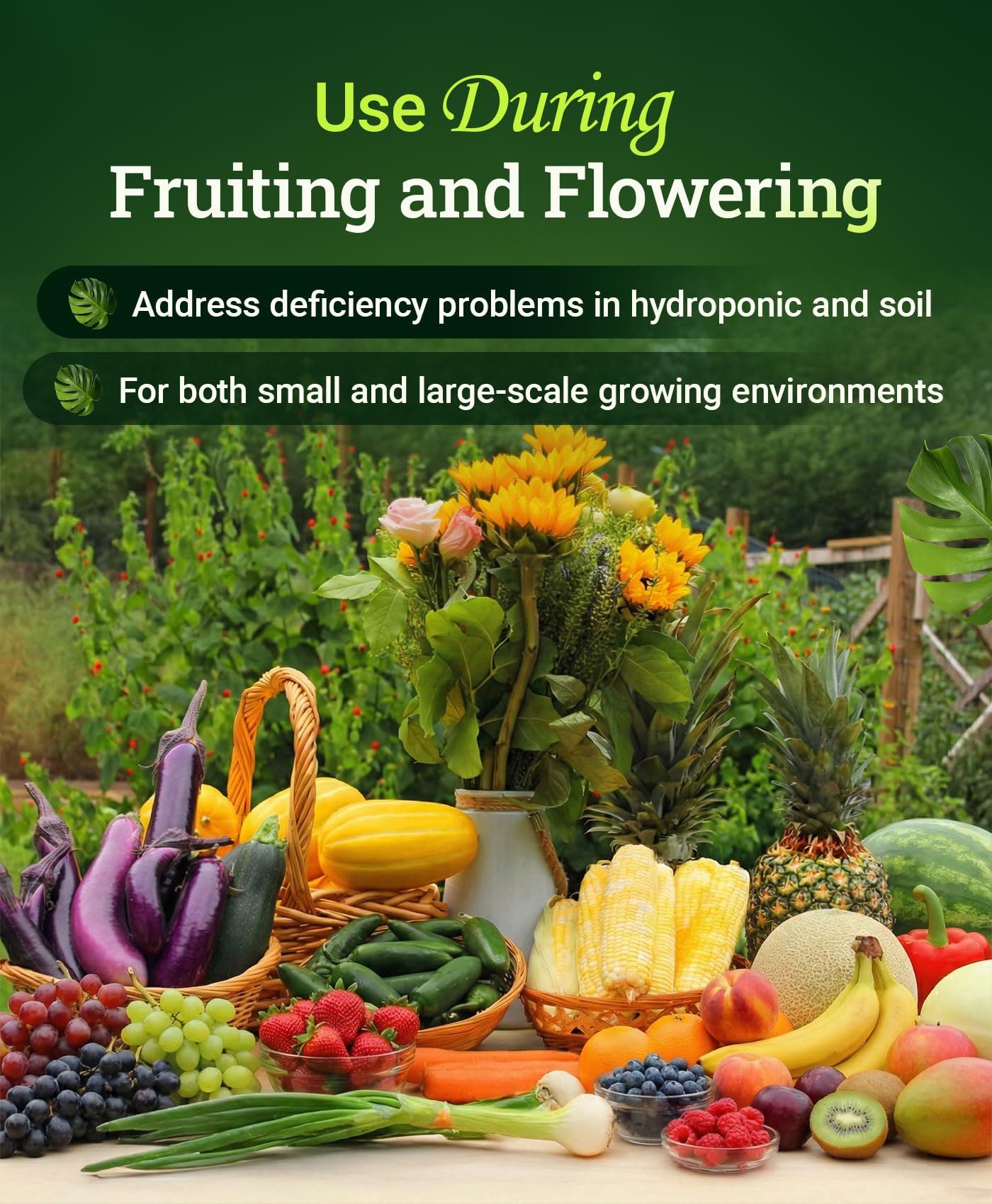 FoxFarm aplicando Cal Mag con regadera en plantas para prevenir deficiencias