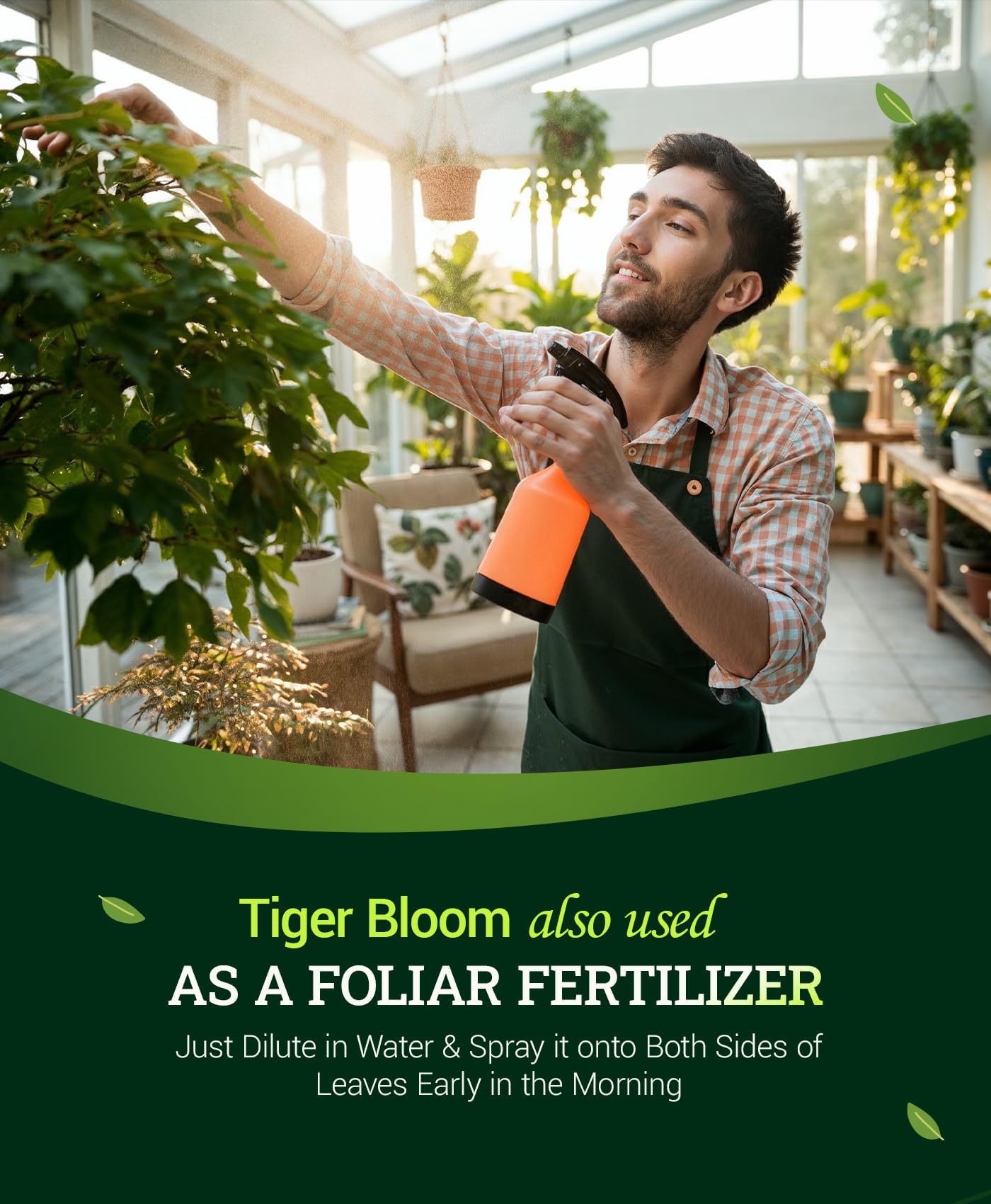 FoxFarm Tiger Bloom en un cultivo casero demostrando soporte floral